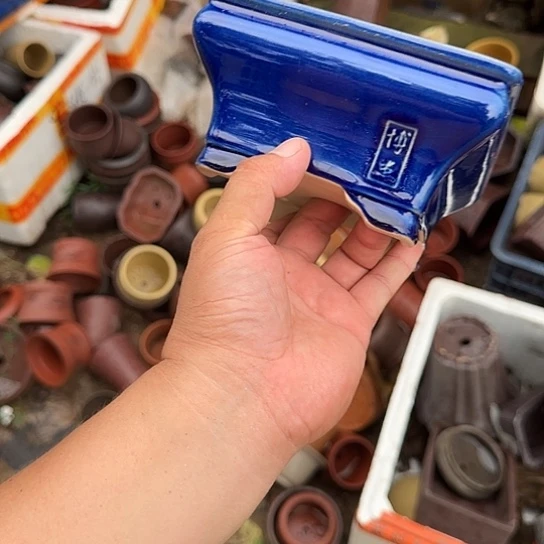 你要吃好睡的多一点儿