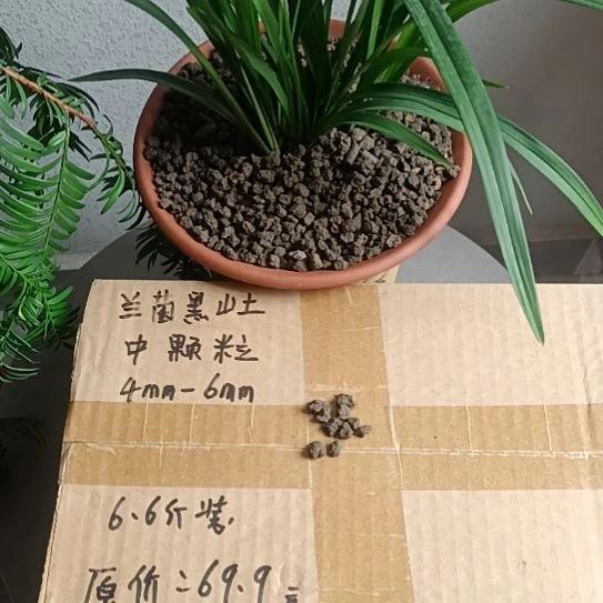 期***彩兰菌颗粒中颗粒6.6斤