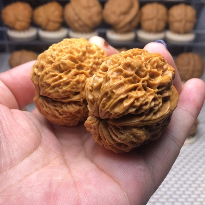 文玩核桃把件25盘古大蛤蟆40+