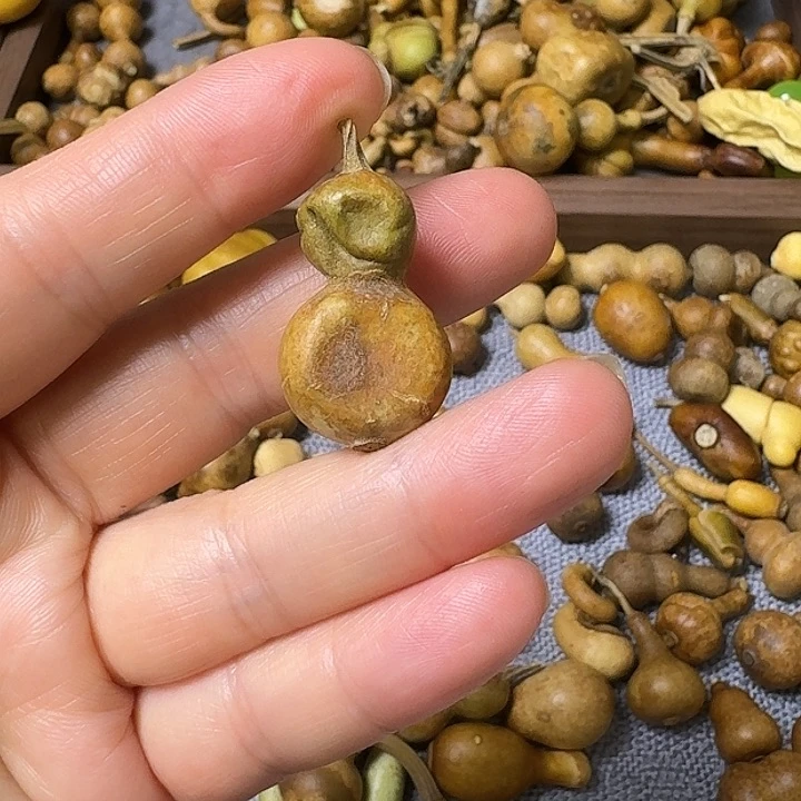 ?****?我的小可爱们都好可爱