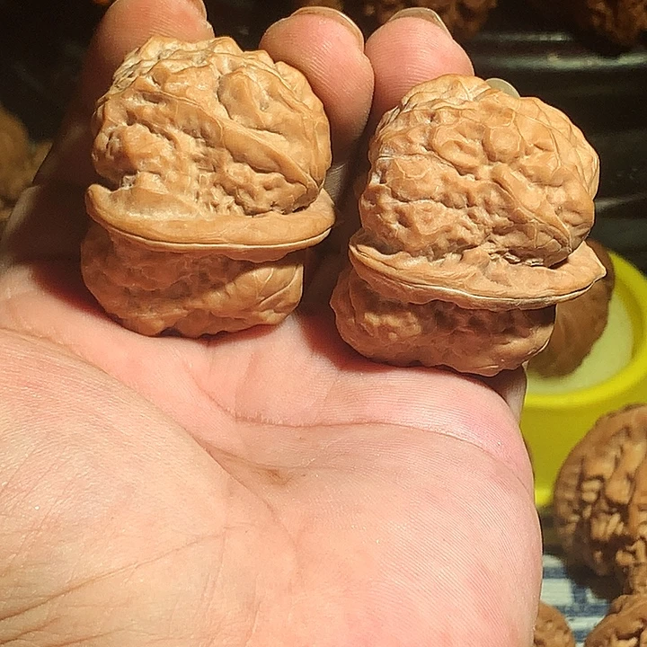 n***7文玩核桃把件蛤蟆