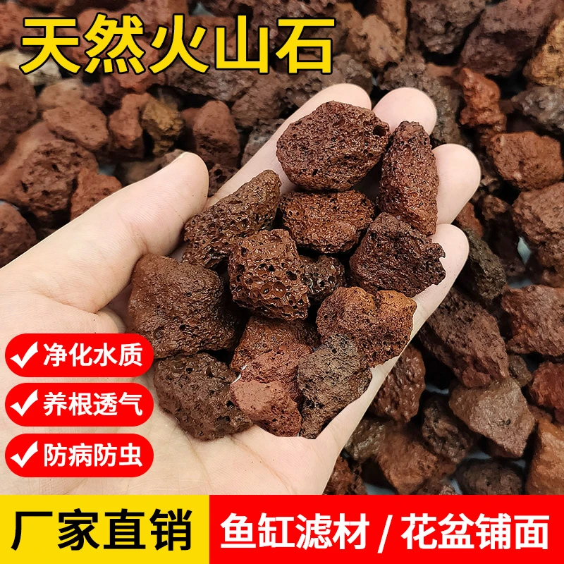 颗粒造景铺底鱼缸选用滤材养鱼火山岩过滤垫底砂多肉兰花铺面石