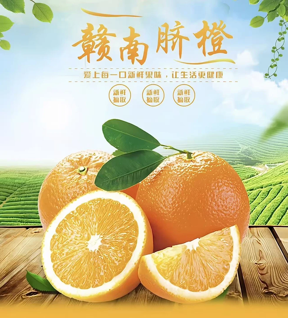 堂哥家的正宗赣南脐橙100%好果产地直发应季水果细腻多汁