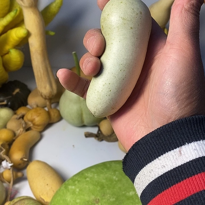 海***洋小葫芦异形手把件