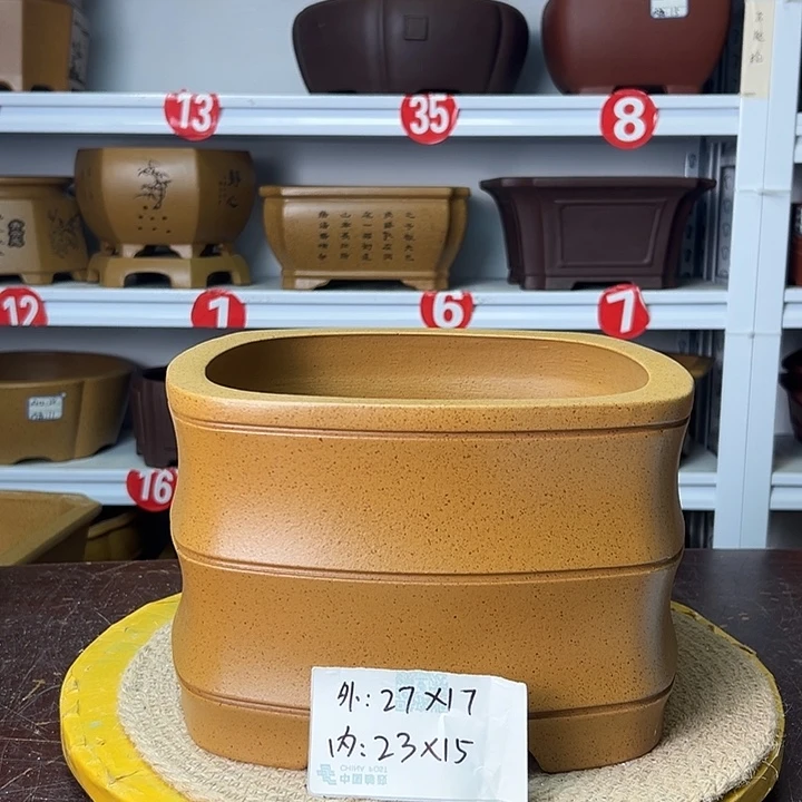 花盆紫砂你在一起