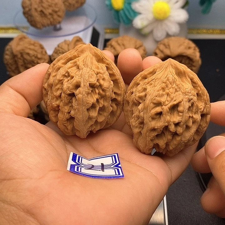 范***生把件文玩核桃大沽石