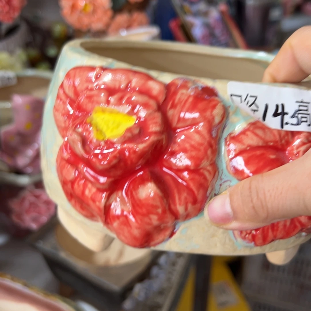 花盆，拍满20发货，退款拉黑
