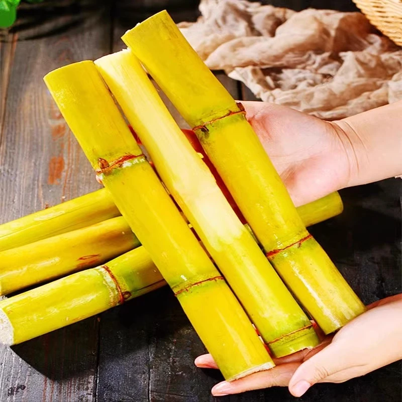正宗云南黄金甘蔗脆甜爽口汁多产地直销当季新鲜甘蔗