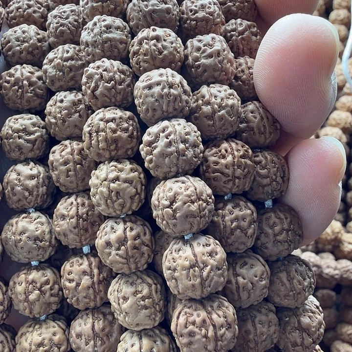 烟***南金刚菩提吊坠一代龙10条