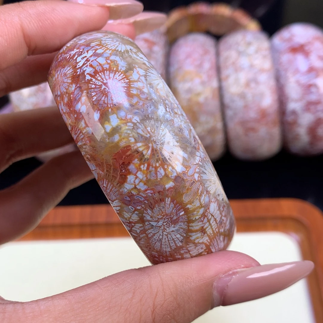【闪购商品】颈饰未镶嵌硅化珊瑚（珊瑚玉）肩*蝶