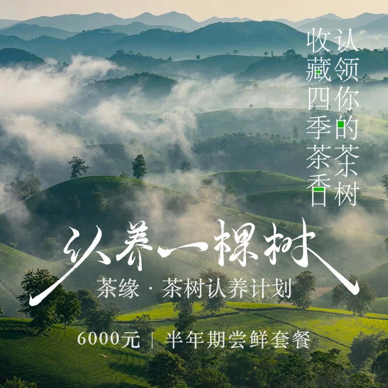 认养一棵树 | 半年期尝鲜套餐：2025年春茶1000g 一组五棵树