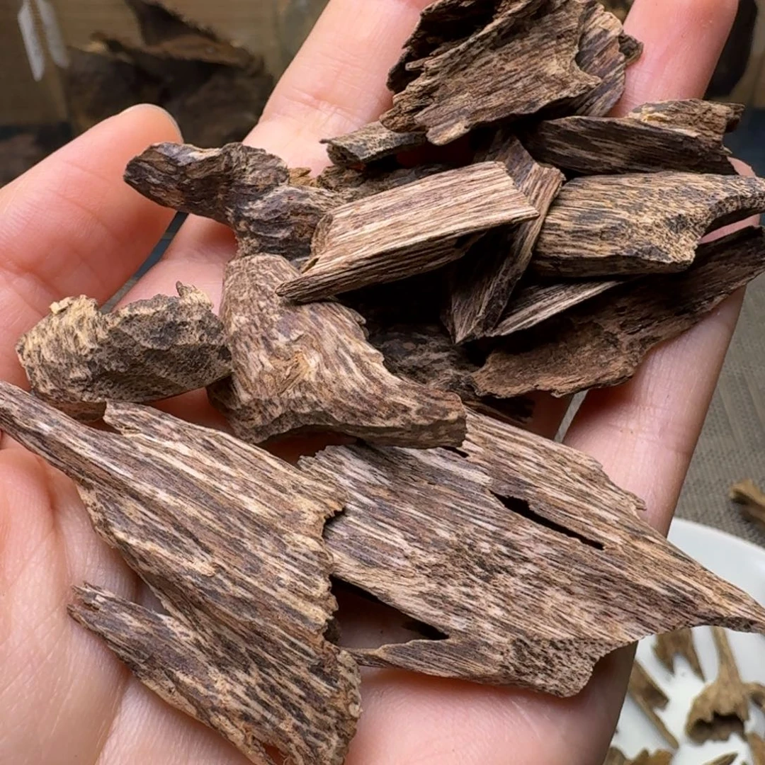 香榧木海南尖峰岭蚁漏10.6克