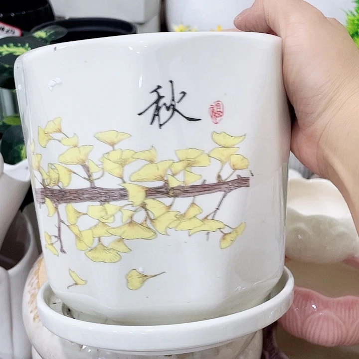花盆花盆花盆花盆花盆花盆花盆