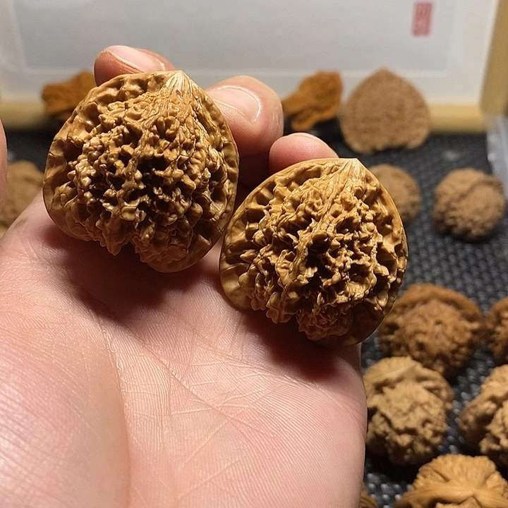 40尺满天星文玩把件011