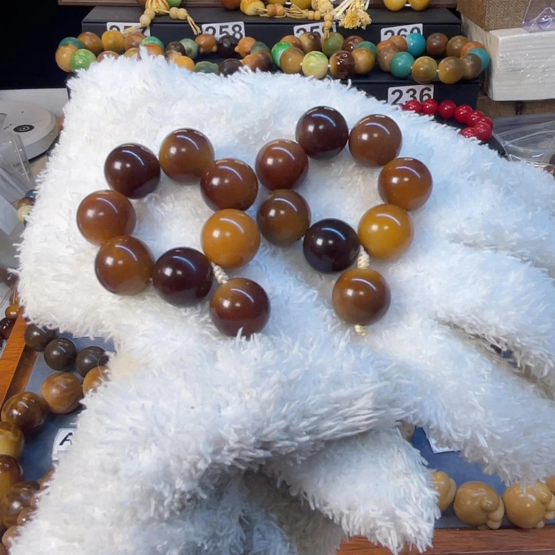 菩提根/象牙果手串