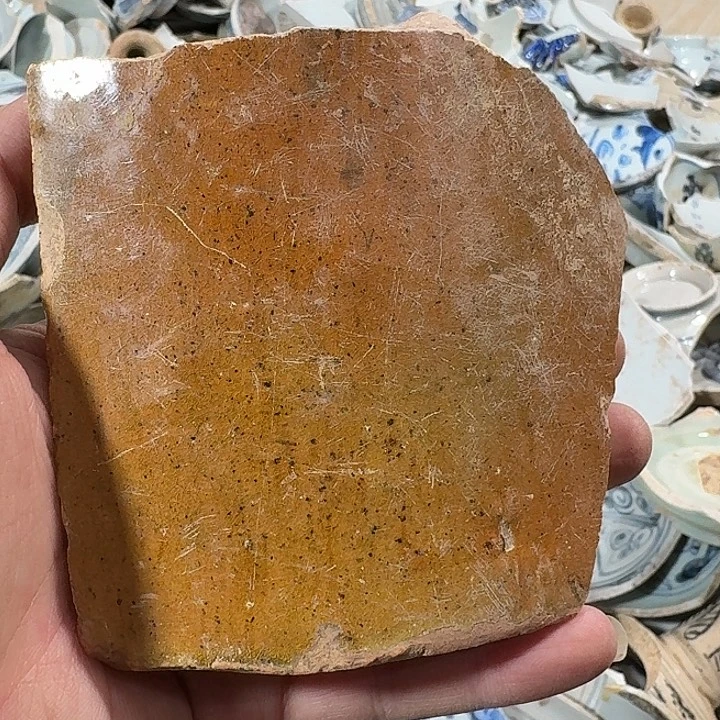 木***士瓷片瓷片标本，顺丰包邮