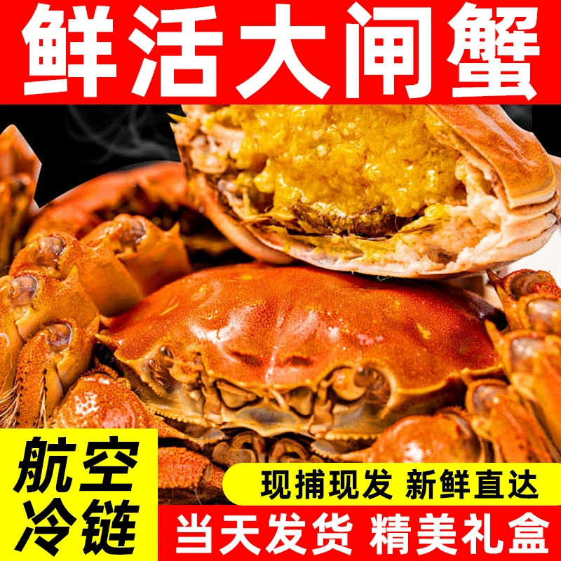 【活蟹】大闸蟹 母2.1两 6-10只