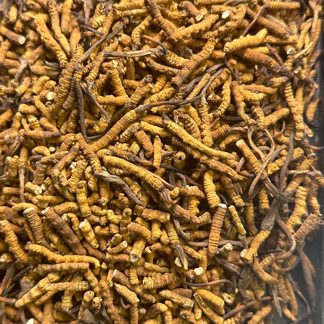 【飞飞精选】西藏统货那曲小断草5克 煲汤汤料 介意勿拍 干草