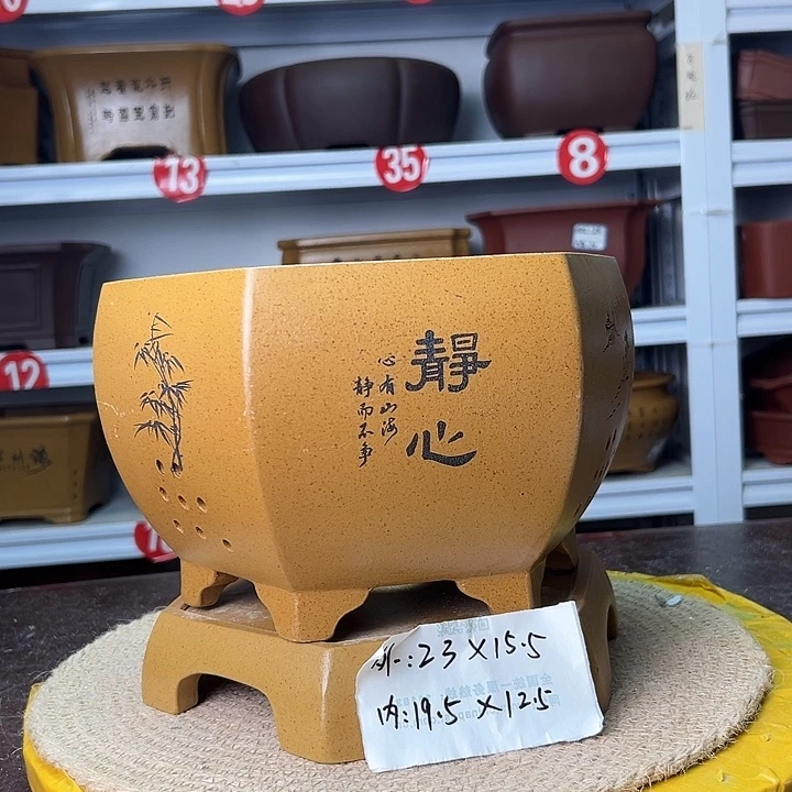 花盆紫砂蛇年大吉