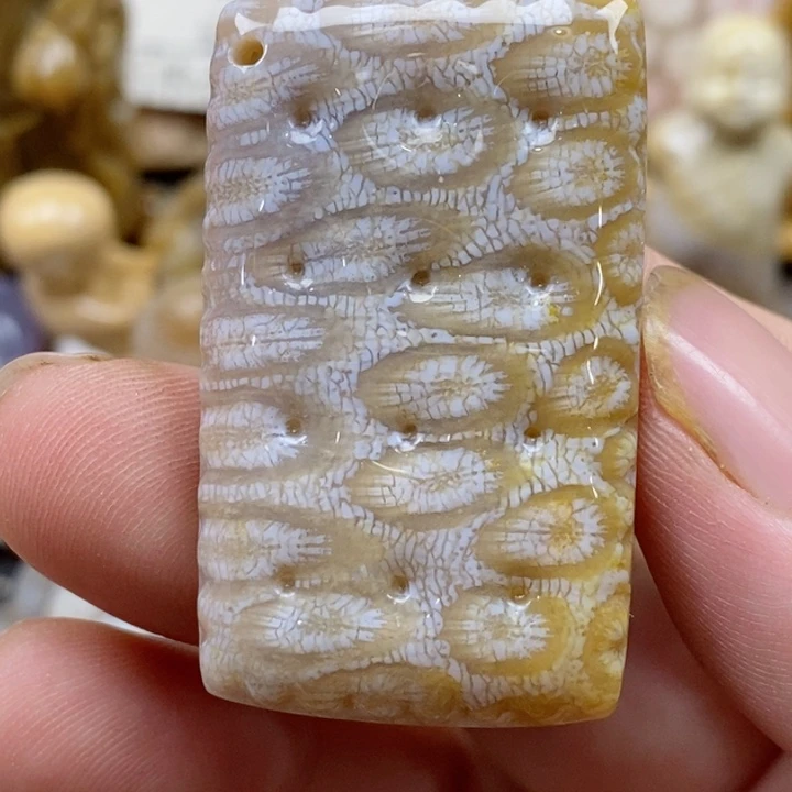 颈饰未镶嵌硅化珊瑚（珊瑚玉）