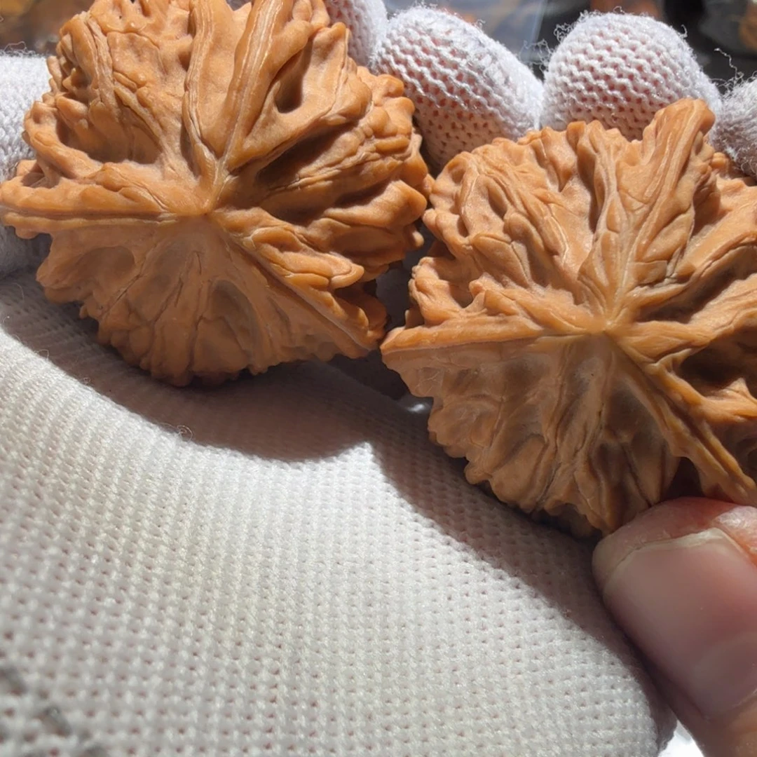 把件文玩核桃御龙正奔