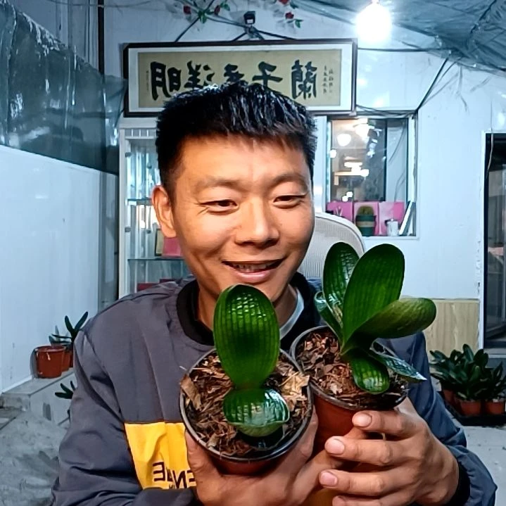 @雨蒙蒙35元两颗。