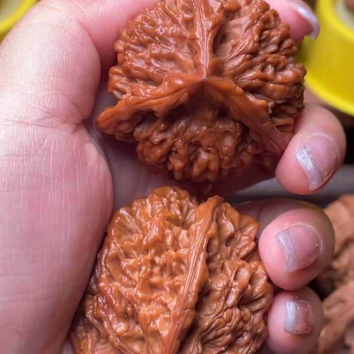 宝***裕核桃官帽000000000