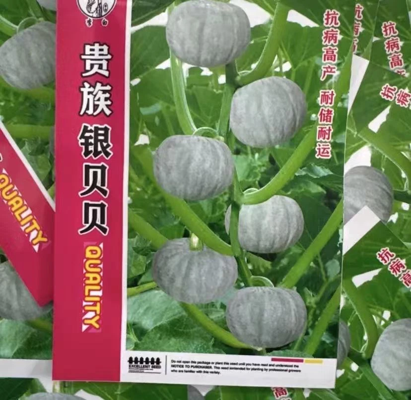 【贵族银贝贝南瓜种子】家庭阳台小院盆栽地栽四季种植