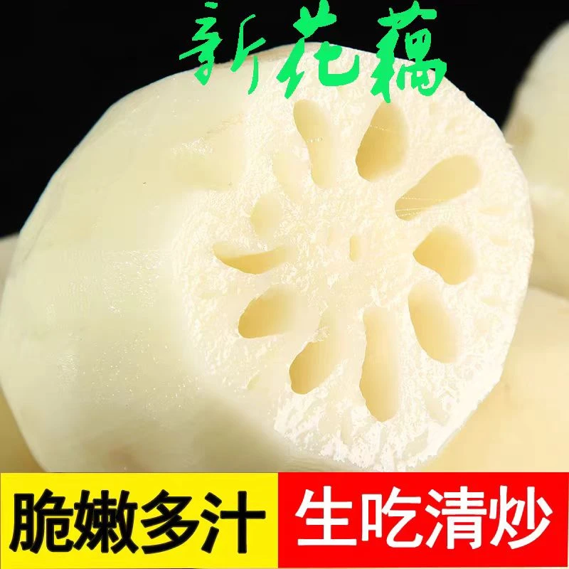 新鲜莲藕农家自种现挖莲藕清炒凉拌当季藕莲藕