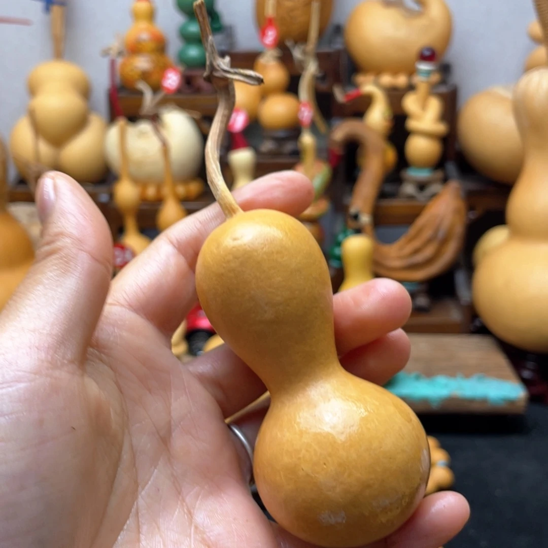 熊**.大自然的秘密第十节第