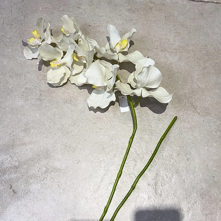 拍品大福利大福利