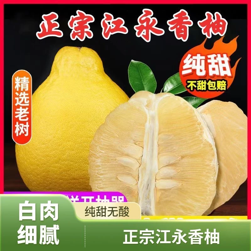 正宗湖南江永香柚老树香柚 新鲜纯甜白心当季沙田柚薄皮大果
