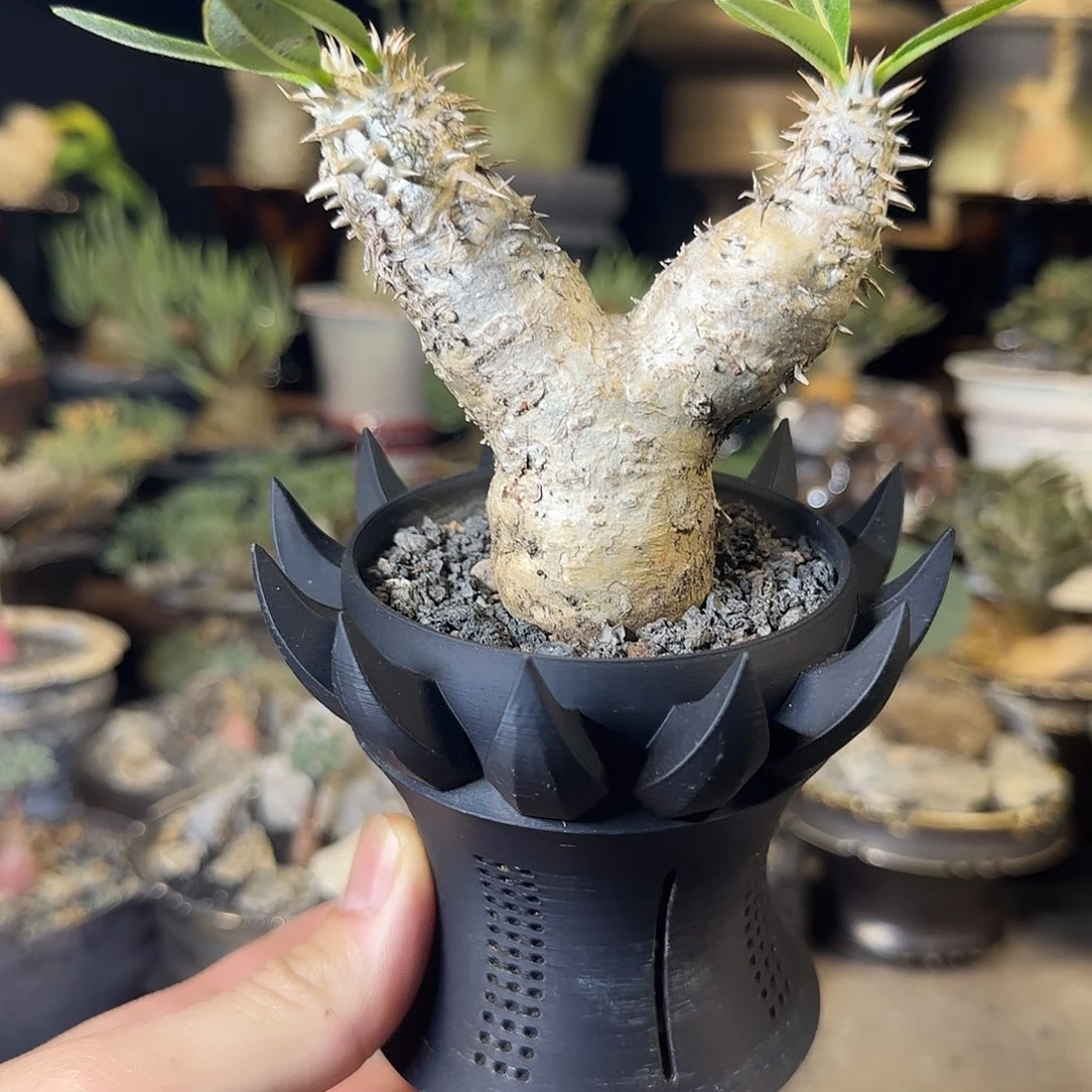 一物一拍惠比大黑199