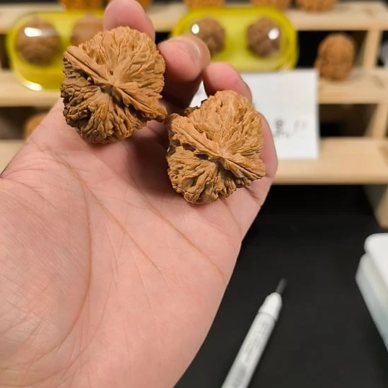 P***y吊坠文玩核桃40白狮子