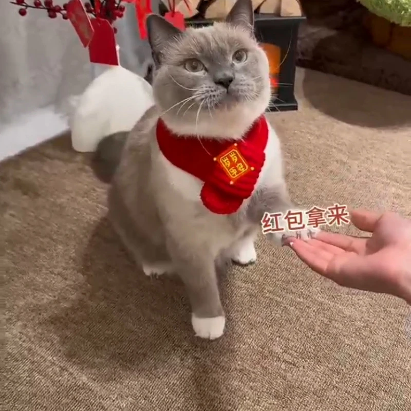 【新年礼物】猫咪狗宠物围脖针织保暖红色围巾 好寓意围脖小猫招财