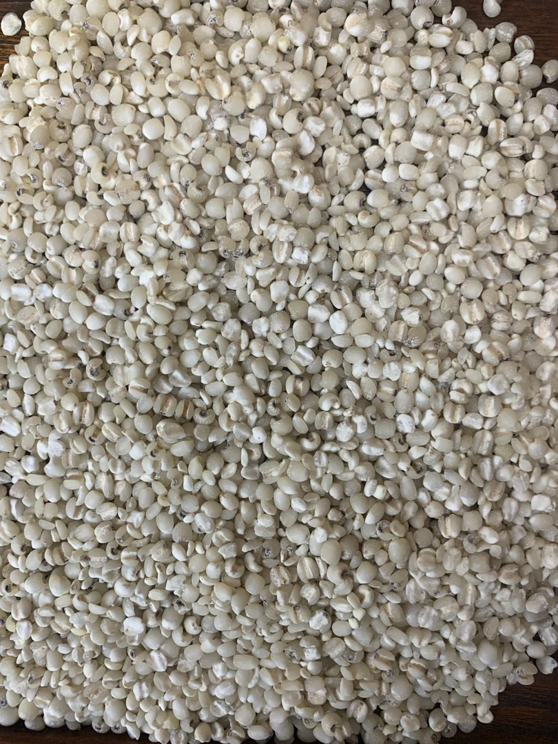 福建仙游金沙薏米新年新米皇家贡品薏米