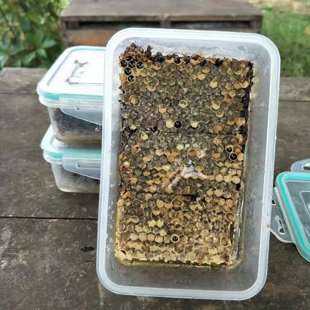 纯正老蜂巢蜜3斤 直接嚼着吃的蜂蜜