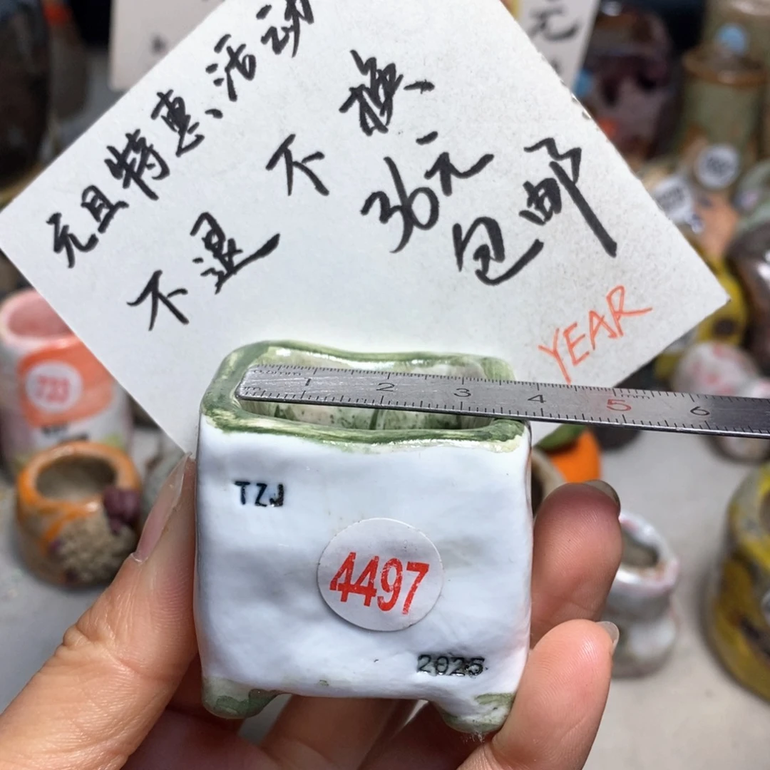 元旦特惠盆不退不换，原价28元一个