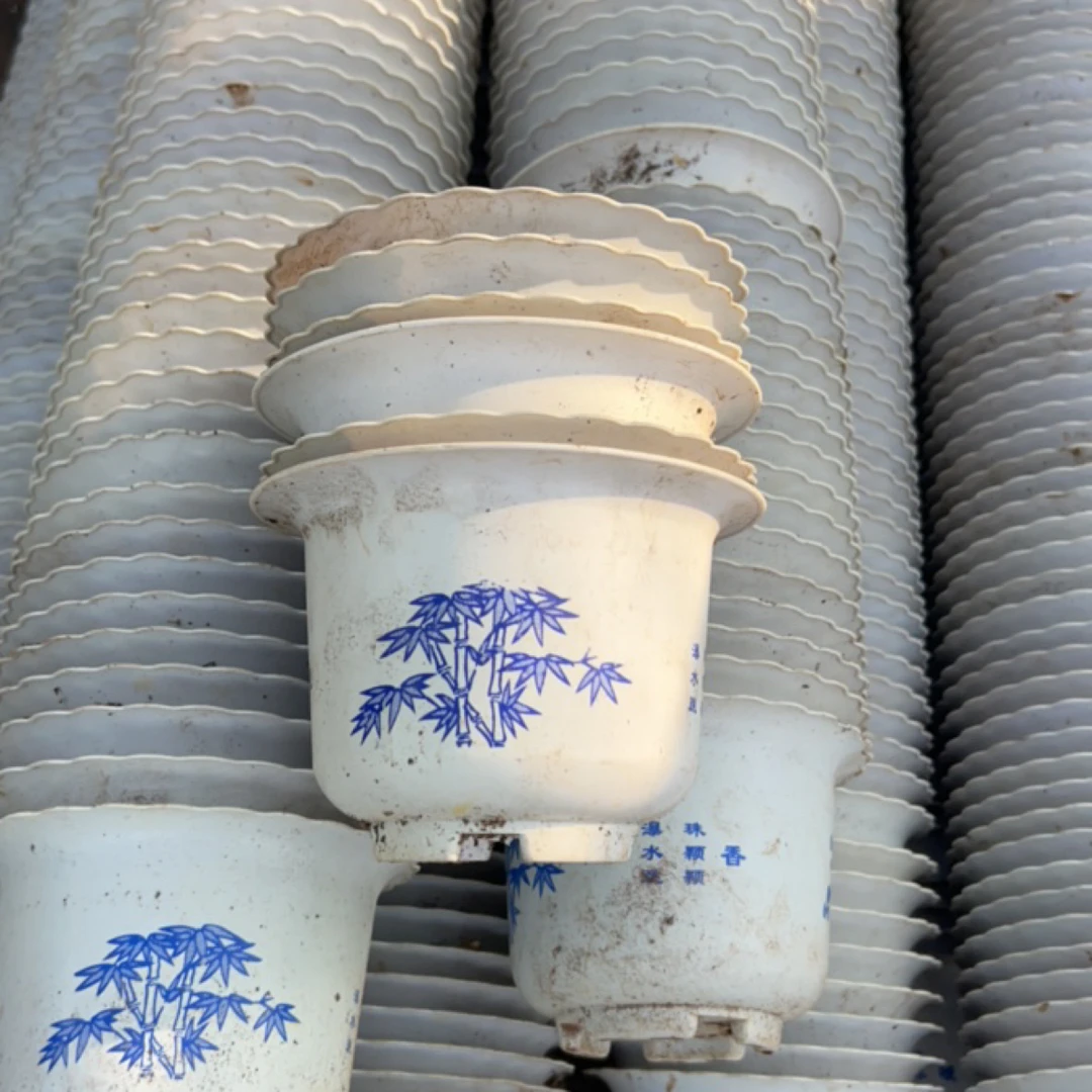 塑料旧花盆 小圆硬盆 富贵花开盆景盆12口径9高 花色混发 20个