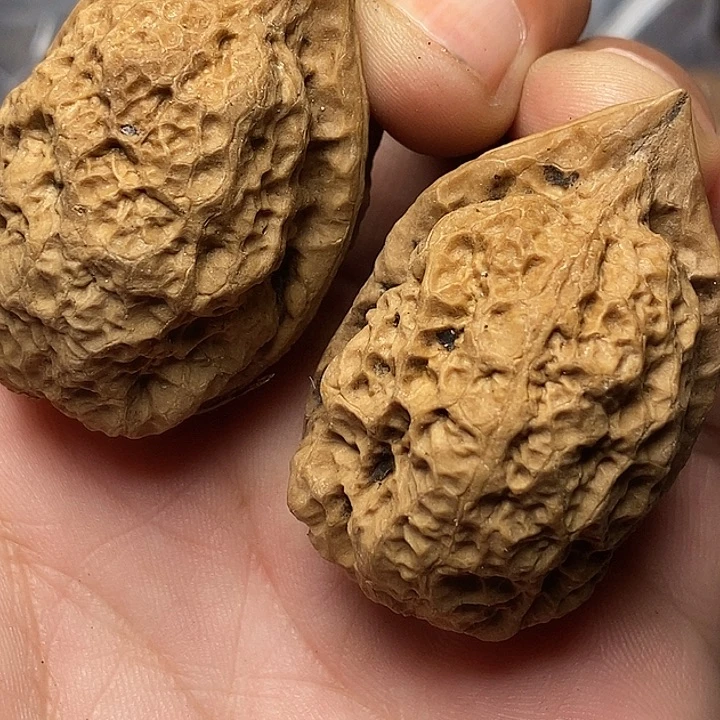 把件文玩核桃云南铁核桃61