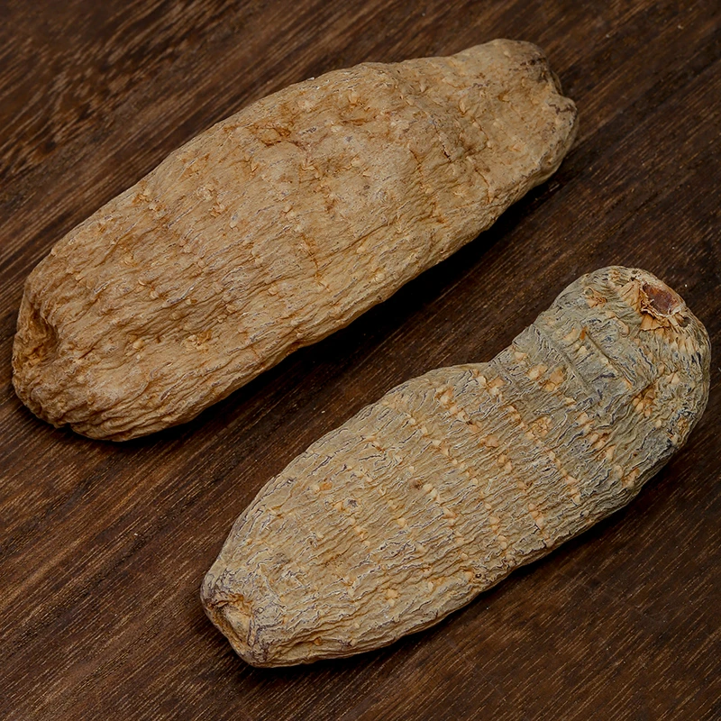 天麻 煲汤做菜佳品 天麻 深山天麻