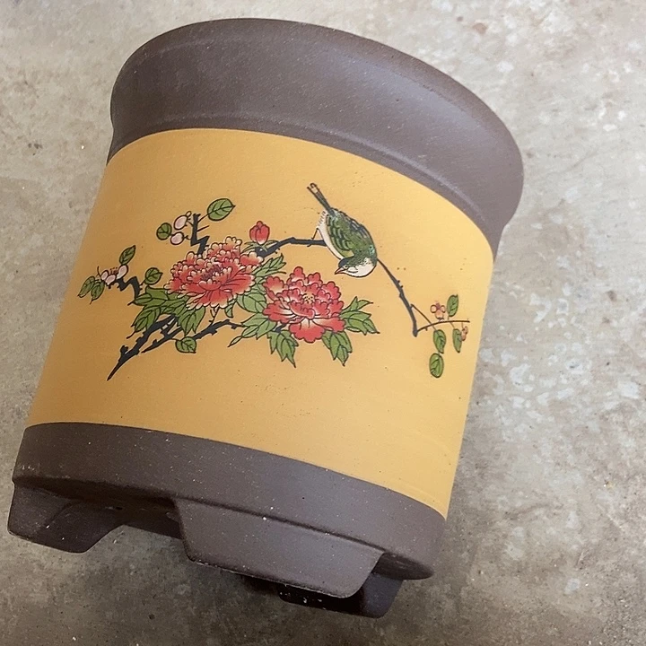 21 花盆花盆花盆花盆花盆花盆