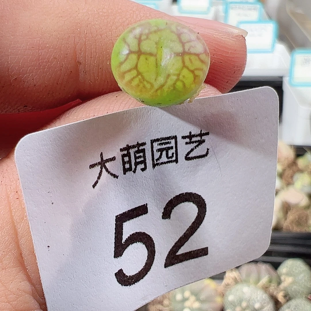 000052 一物一拍……