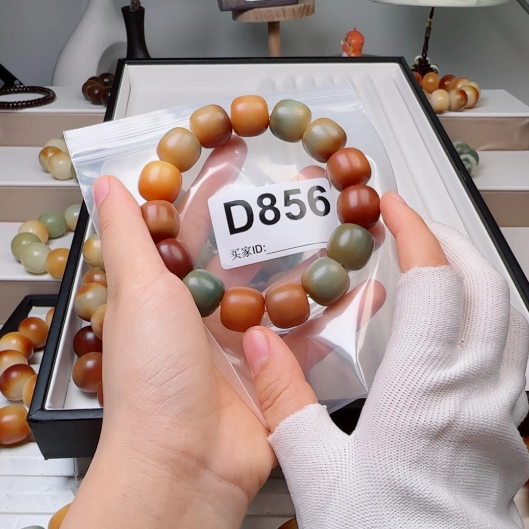 手串菩提根/象牙果