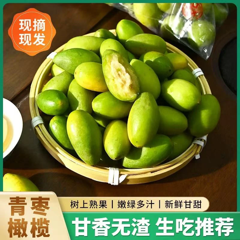【小郑专属】潮汕金灶青枣脆橄榄青果新鲜采摘煲汤 泡酒 生吃两斤装