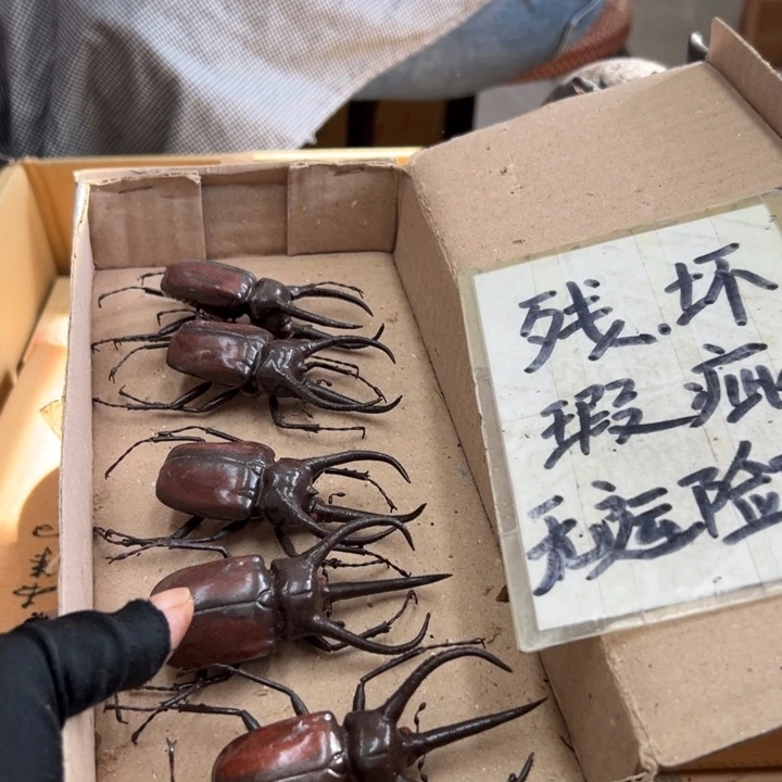 欢***喜谢谢谢谢谢谢谢娃