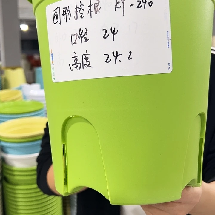 正品圆控口24高24果绿8只无托