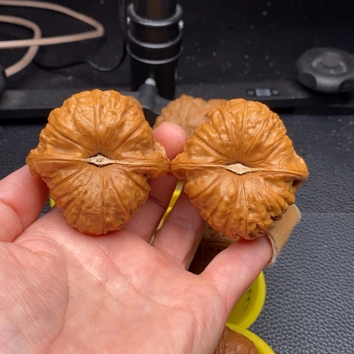 鑫***缘文玩核桃吊坠南瓜墩49.5