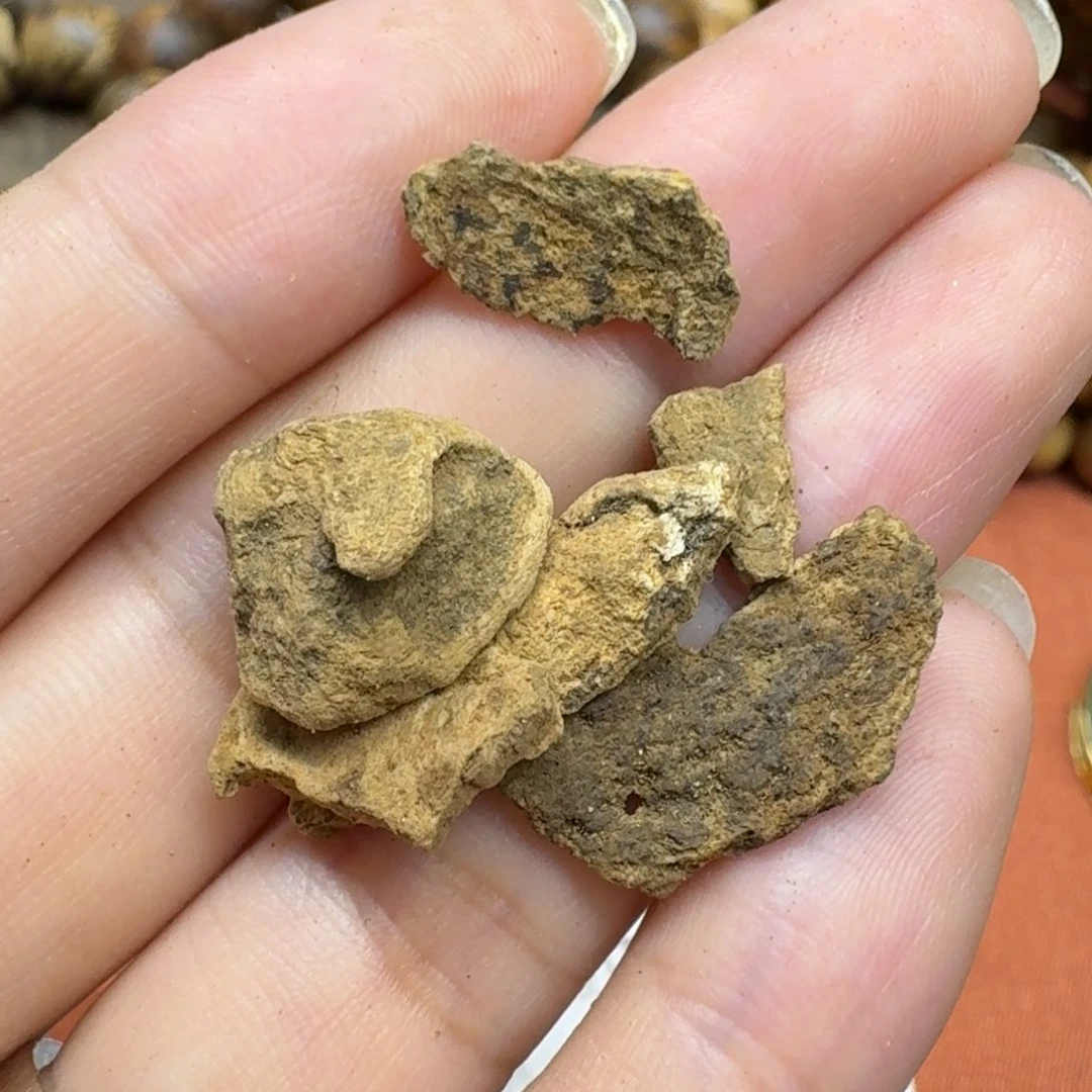 大叶紫檀（黑酸枝木类）