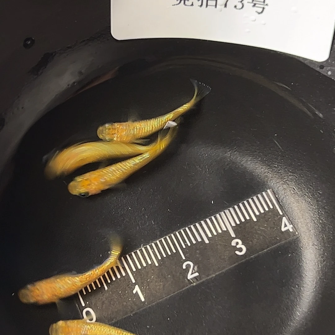 海水阳光一组73好
